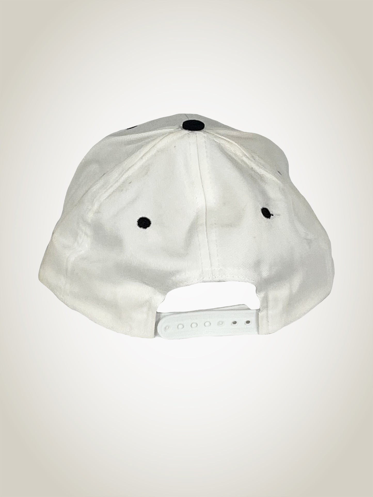 Vintage Chicago Bulls Champions Hat