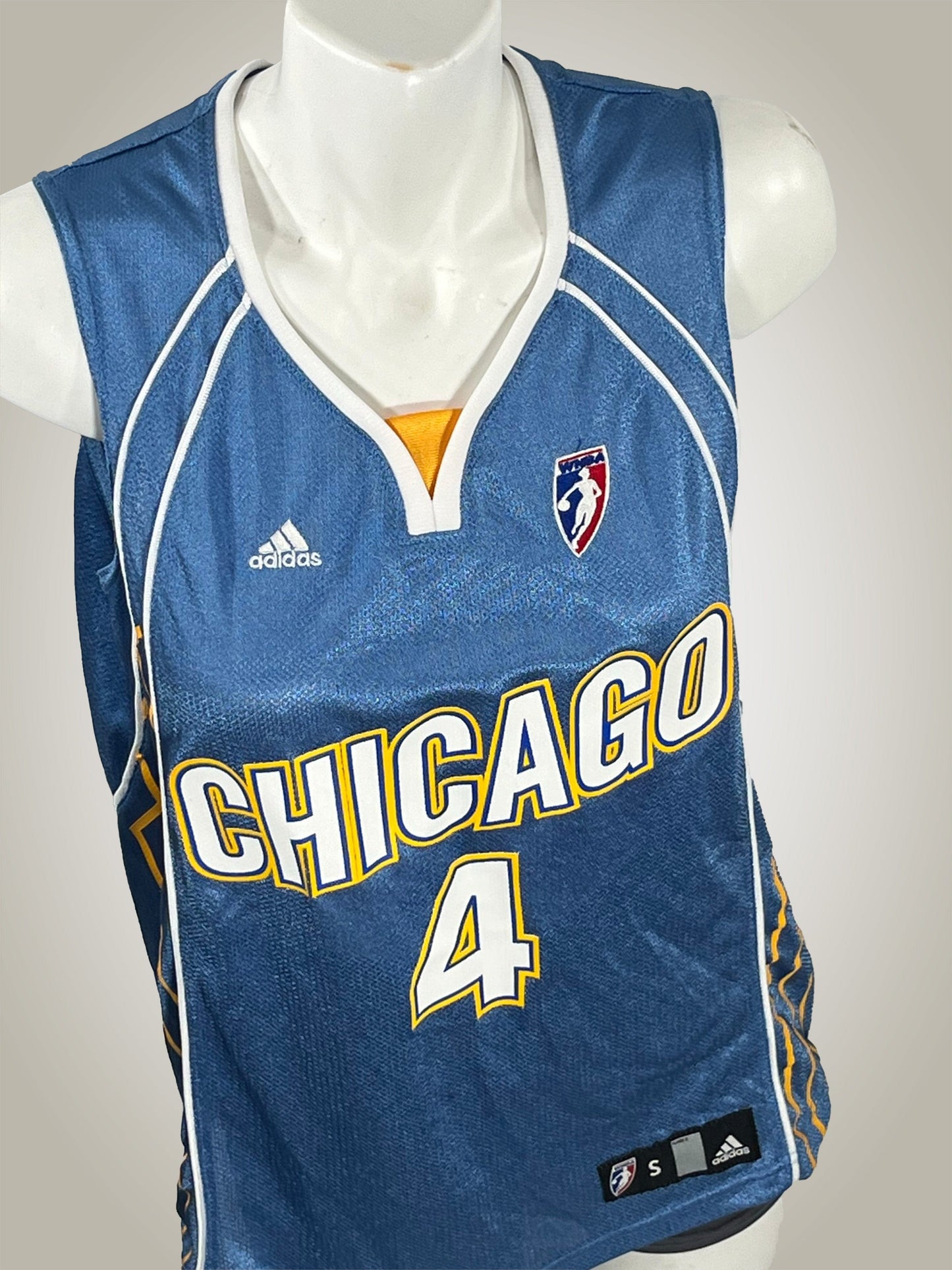 Gameday Grails Jersey Small Vintage Chicago Sky Candice Dupree Jersey