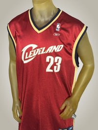Thumbnail for Gameday Grails Jersey X-Large Vintage Cleveland Cavaliers LeBron James Jersey