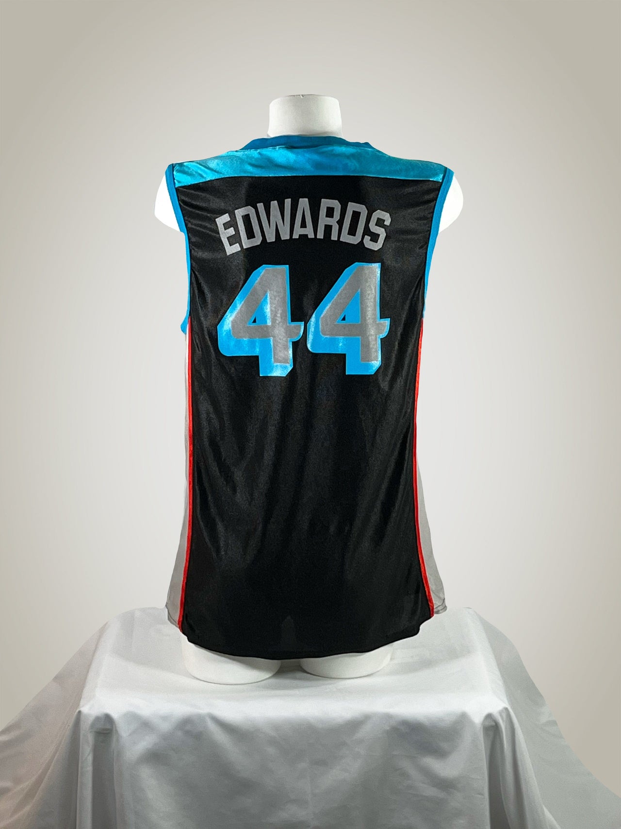 Vintage Cleveland Rockers Michelle Edwards Jersey Gameday Grails