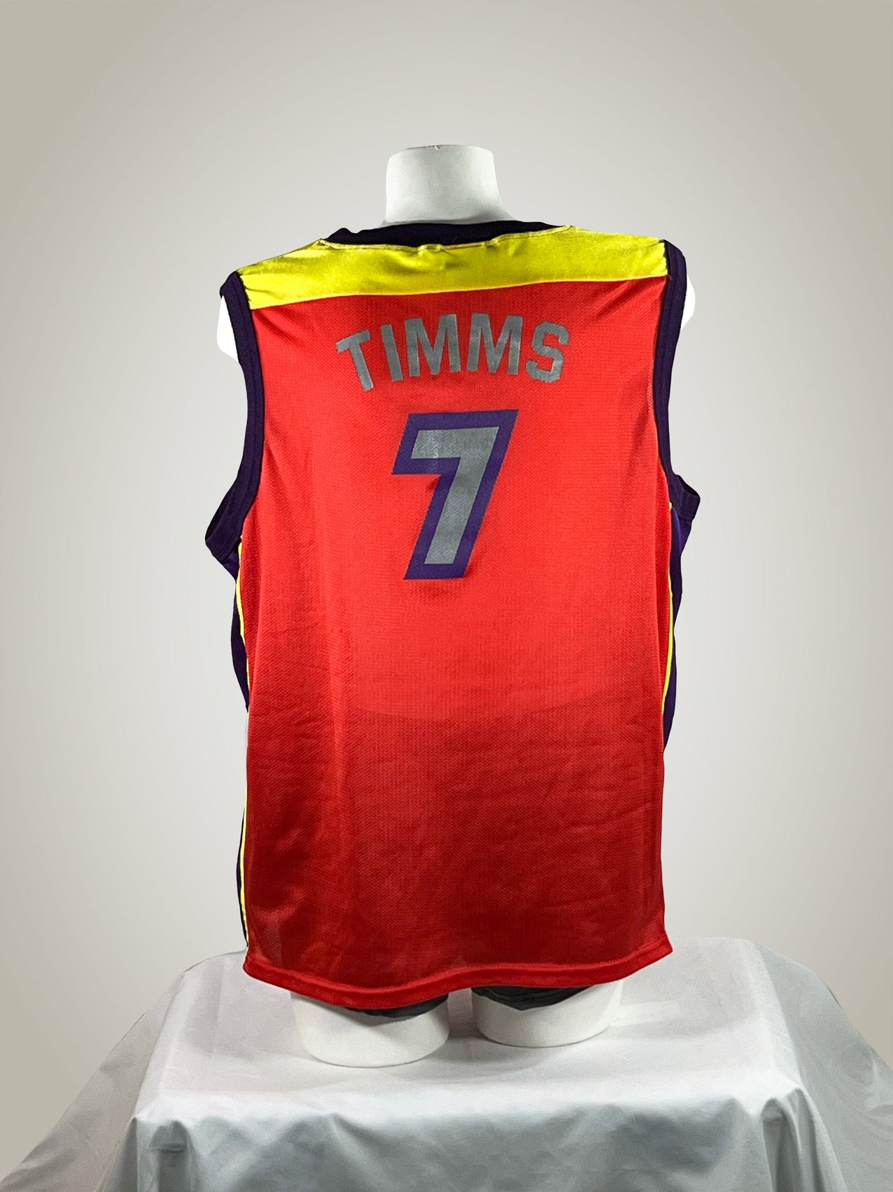 Gameday Grails Jersey Medium Vintage Phoenix Mercury Michele Timms