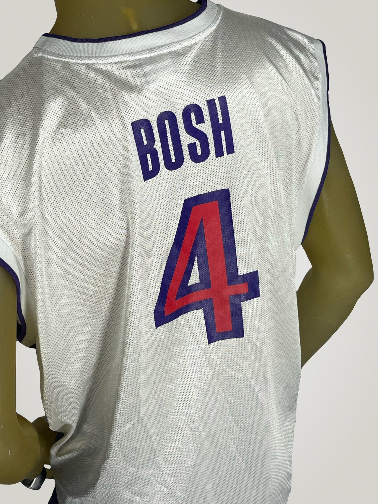 Gameday Grails Vintage Toronto Raptors Chris Bosh Jersey